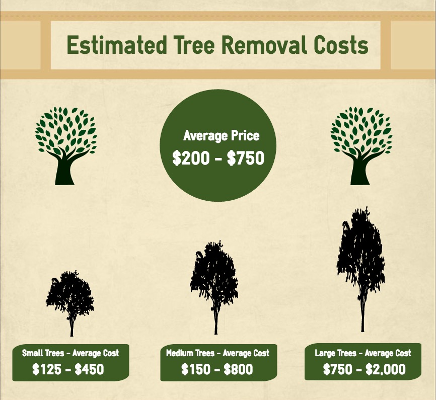 estimated tree removal costs in Baltimore