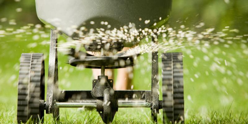 lawn seeding Privacy Policy, TN