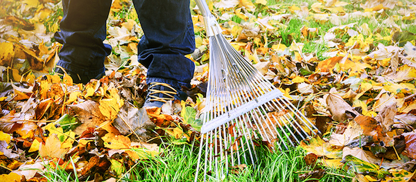 leaf removal Quote, VA